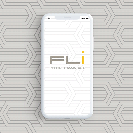 FLI Travel APP Concept